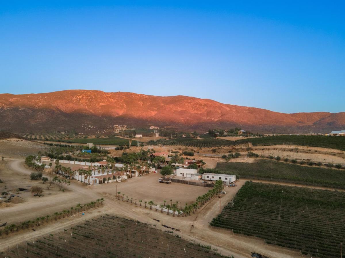 Surya Hotel Valle de Guadalupe Exterior photo